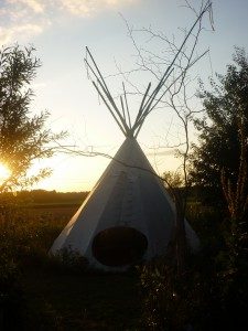 Tipi