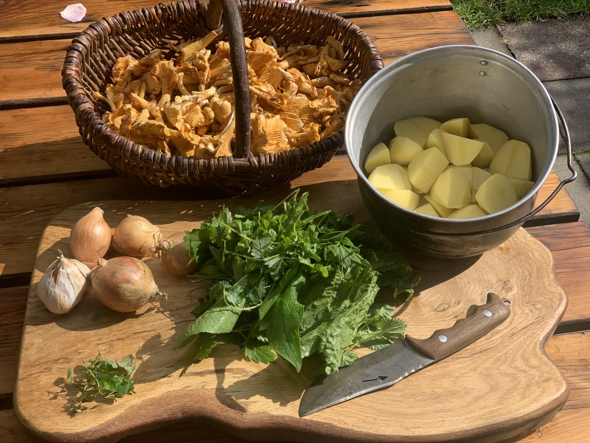 Wildkräuter-Kartoffelstampf mit Pfifferlingspfanne. – Wildes Zeug Wildkräuter-Kartoffelstampf mit Pfifferlingspfanne. – Wildes Zeug