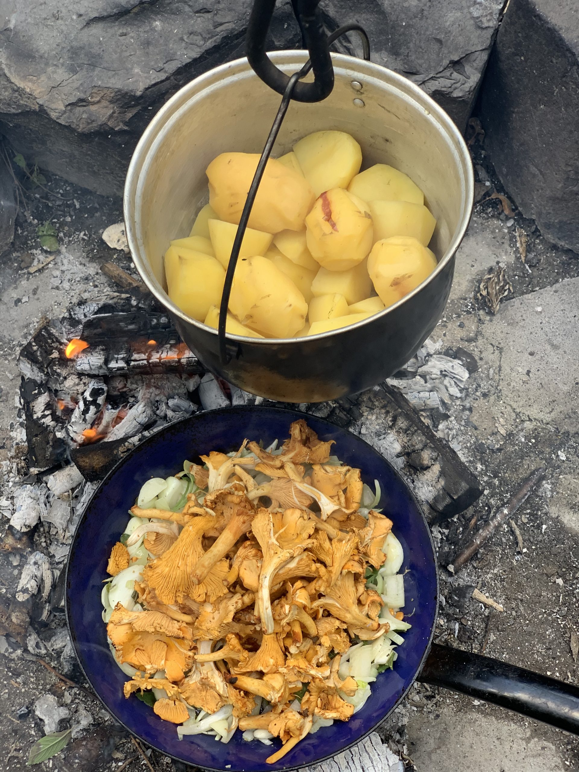 Wildkräuter-Kartoffelstampf mit Pfifferlingspfanne. – Wildes Zeug Wildkräuter-Kartoffelstampf mit Pfifferlingspfanne. – Wildes Zeug