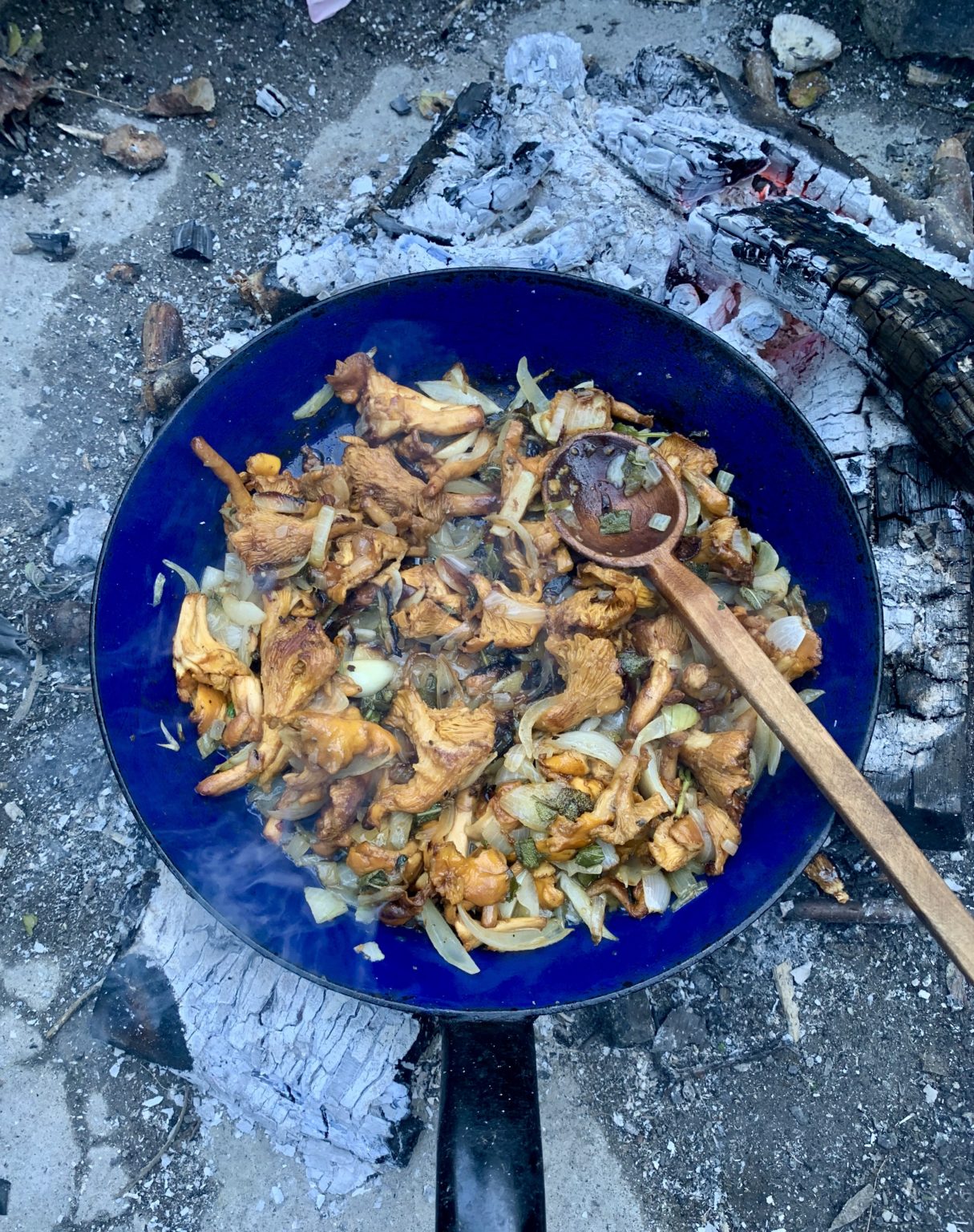 Wildkräuter-Kartoffelstampf mit Pfifferlingspfanne. – Wildes Zeug Wildkräuter-Kartoffelstampf mit Pfifferlingspfanne. – Wildes Zeug